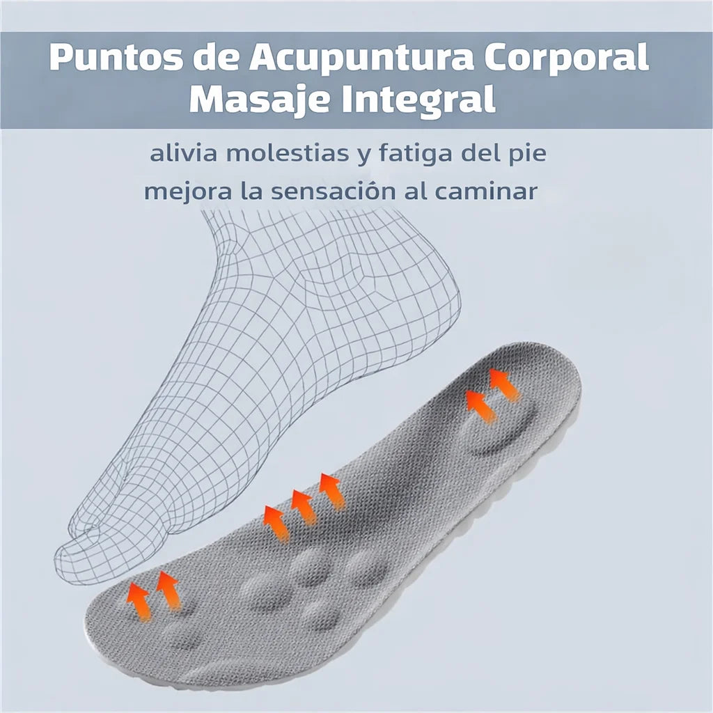 PLANTILLAS CLOUD 4D - OFERTA SOLO POR HOY